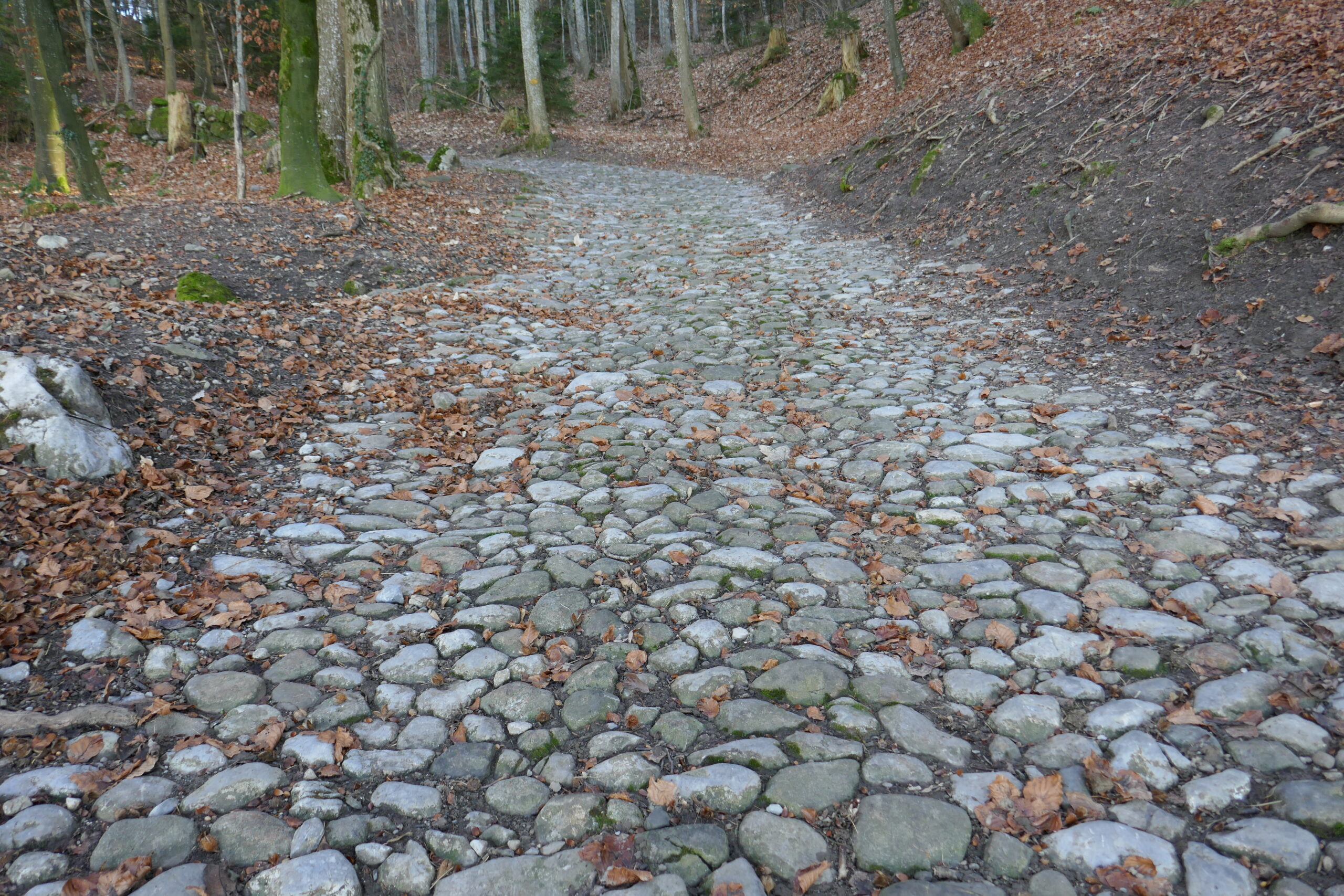 30.11.2016: Baye de Clarens VD, von Brison her kommt dieser national bedeutende Weg (IVS) von ca. 1770
