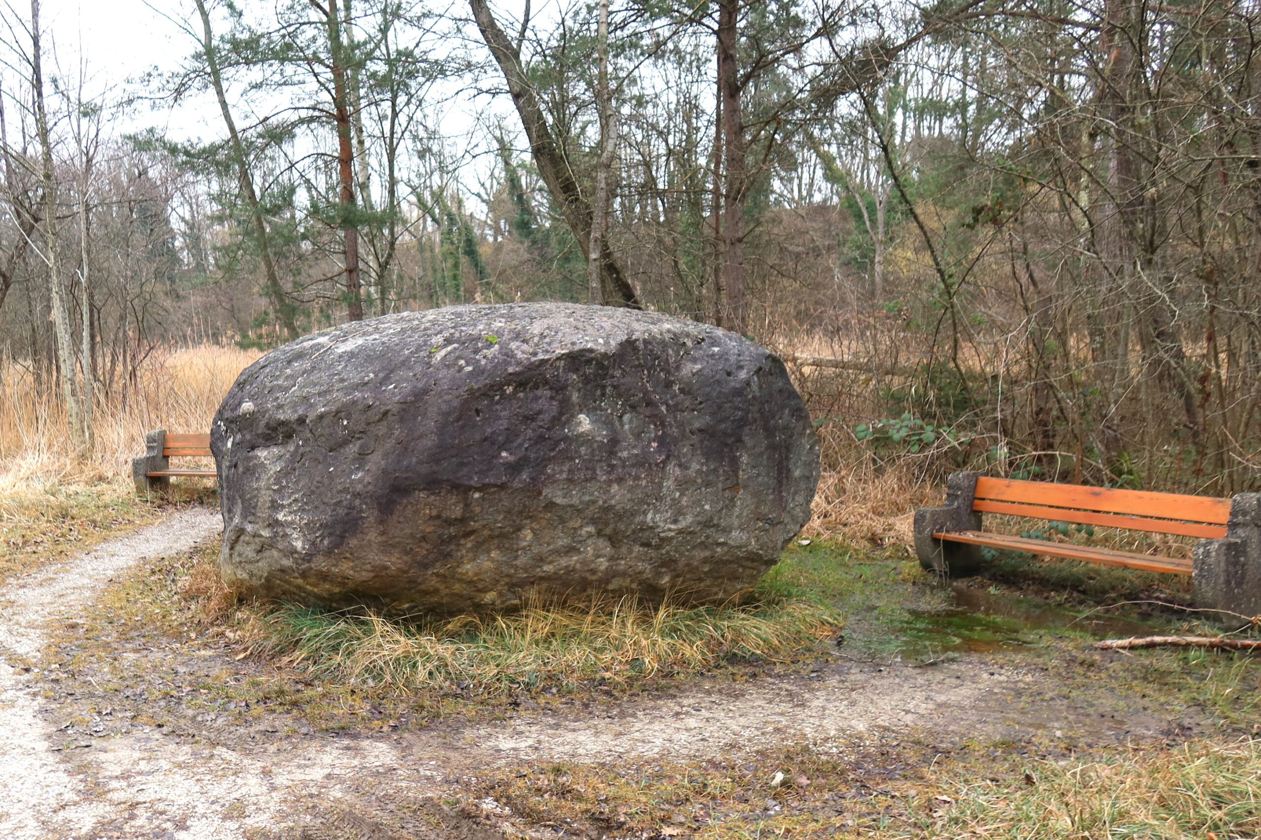 03.02.2025,: Der Hochzeitsfelsen / Pierre du Mariage / Pierre-à-glissade bei Estavayer-le-Lac FR. Er soll bei der Partnersuche helfen und die Fruchtbarkeit begünstigen. Junge
Mädchen müssen den Stein berühren oder sich daraufsetzen. (s. beim Bericht "Zihl")