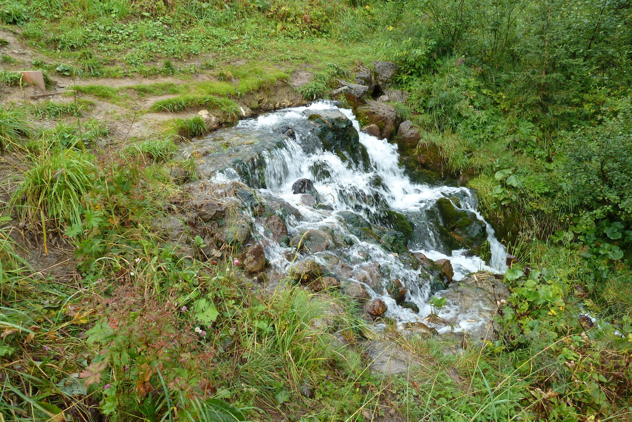 19.08.2014: der Emmensprung, Beginn der Kleinen Emme, Giswil OW