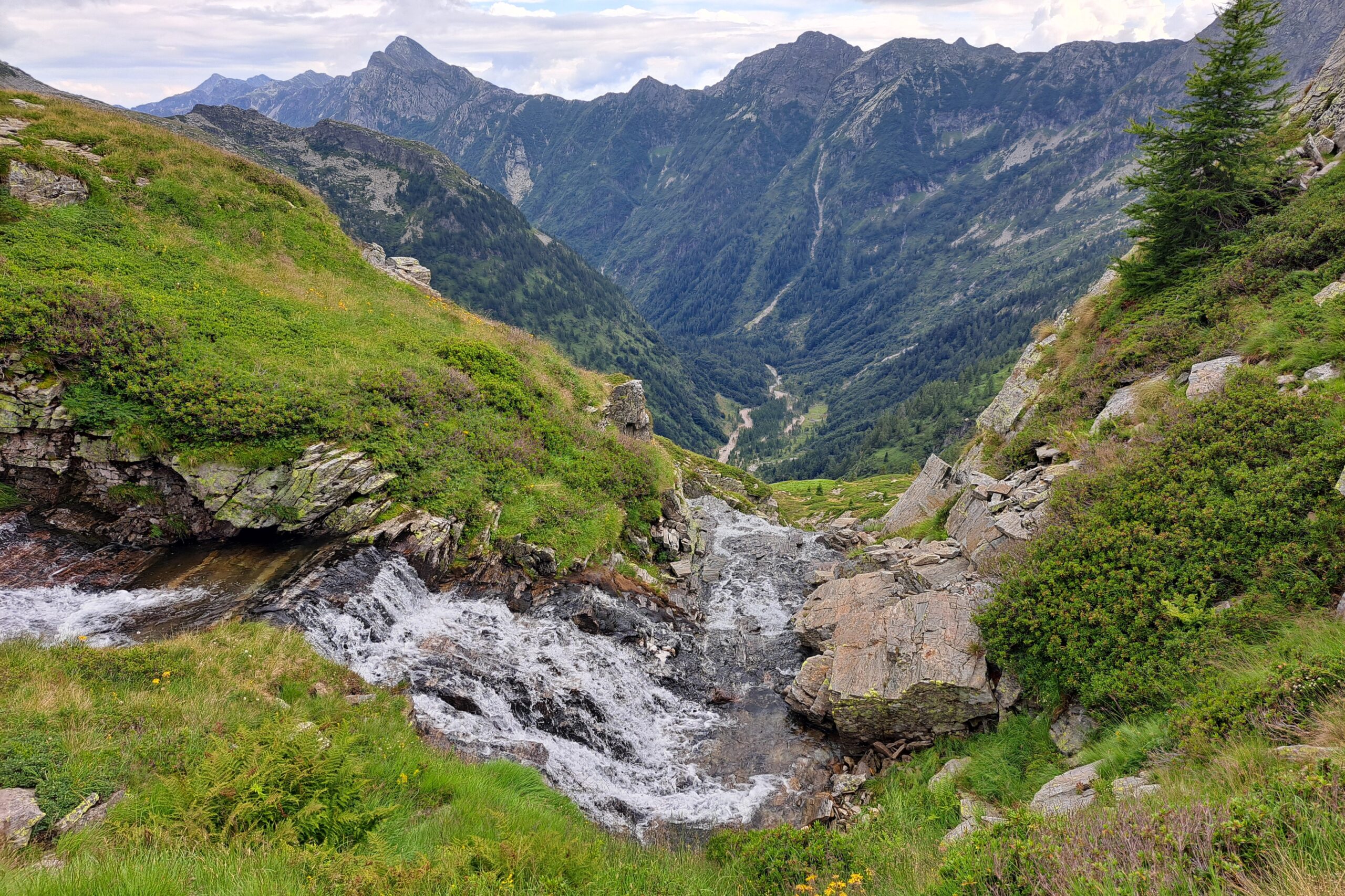 25.07.2025: Torrente Osola TI, der Bach nur ein paar Dutzend Meter unter seinem Beginn auf ca. 2100 m ü. M.