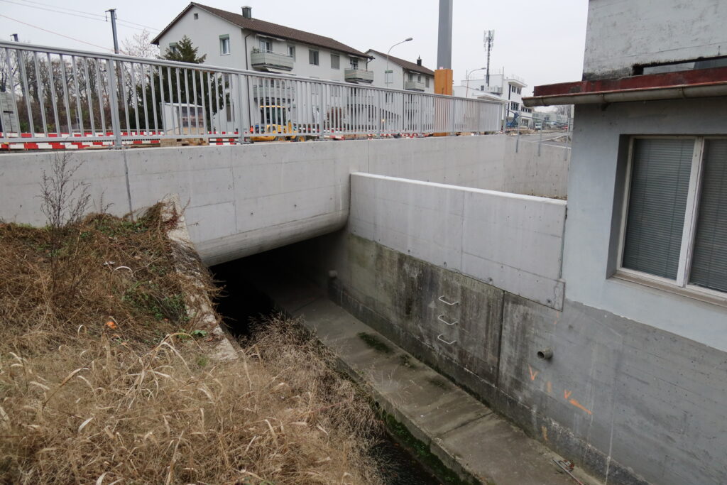 29.11.2020: Schäflibach, Dietikon ZH, Abflussregime: pluvial inférieur, also mit geringen Abflussmengen, hauptsächlich durch Niederschläge beeinflusst. Der Bach unterquert die Zürcherstrasse
