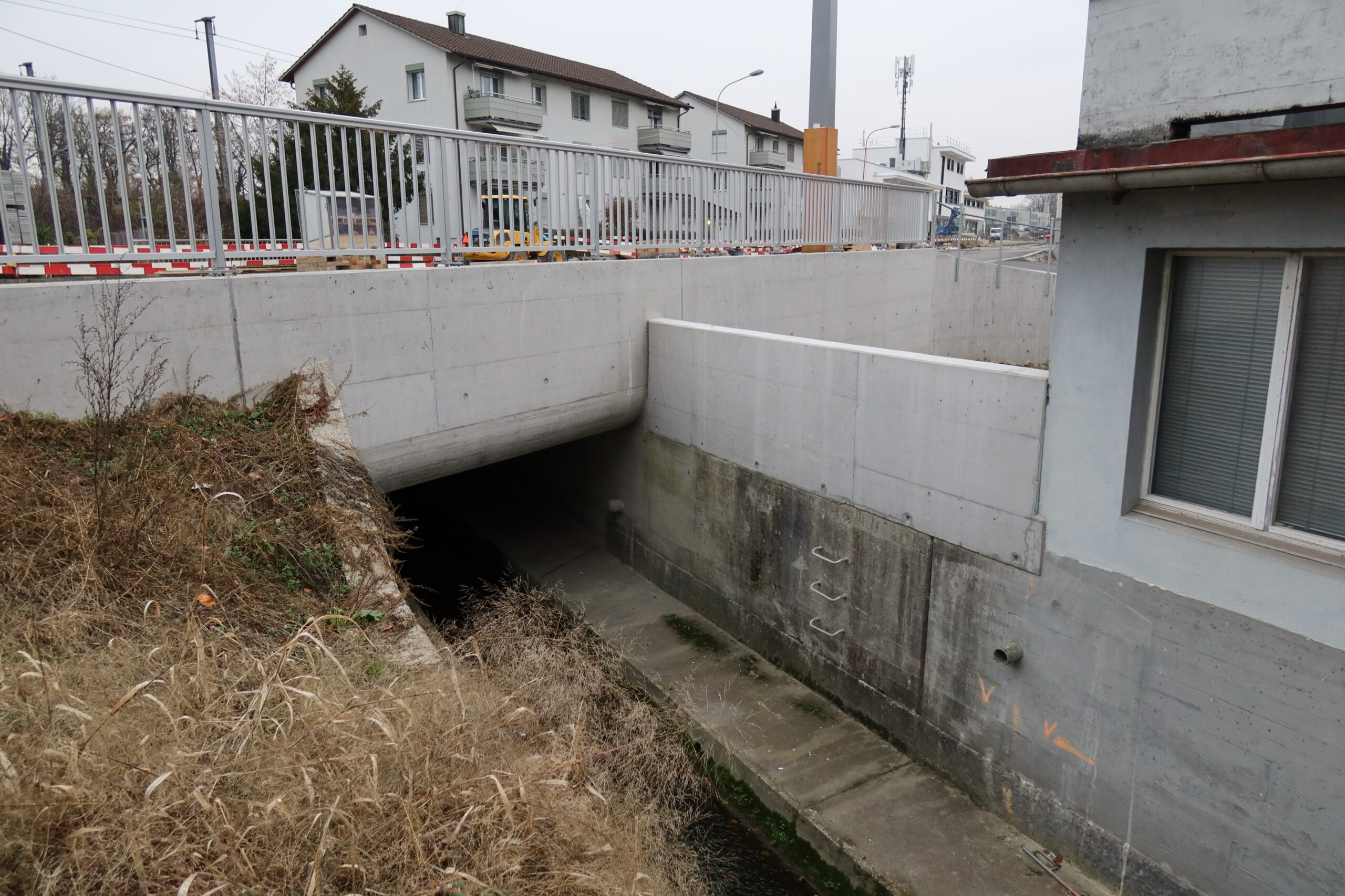 29.11.2020: Schäflibach, Dietikon ZH, Abflussregime: pluvial inférieur, also mit geringen Abflussmengen, hauptsächlich durch Niederschläge beeinflusst. Der Bach unterquert die Zürcherstrasse